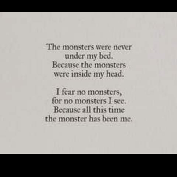 Meet your Posher, Harley - Picture 11 of 12